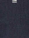 blue.jpg (36894 bytes)